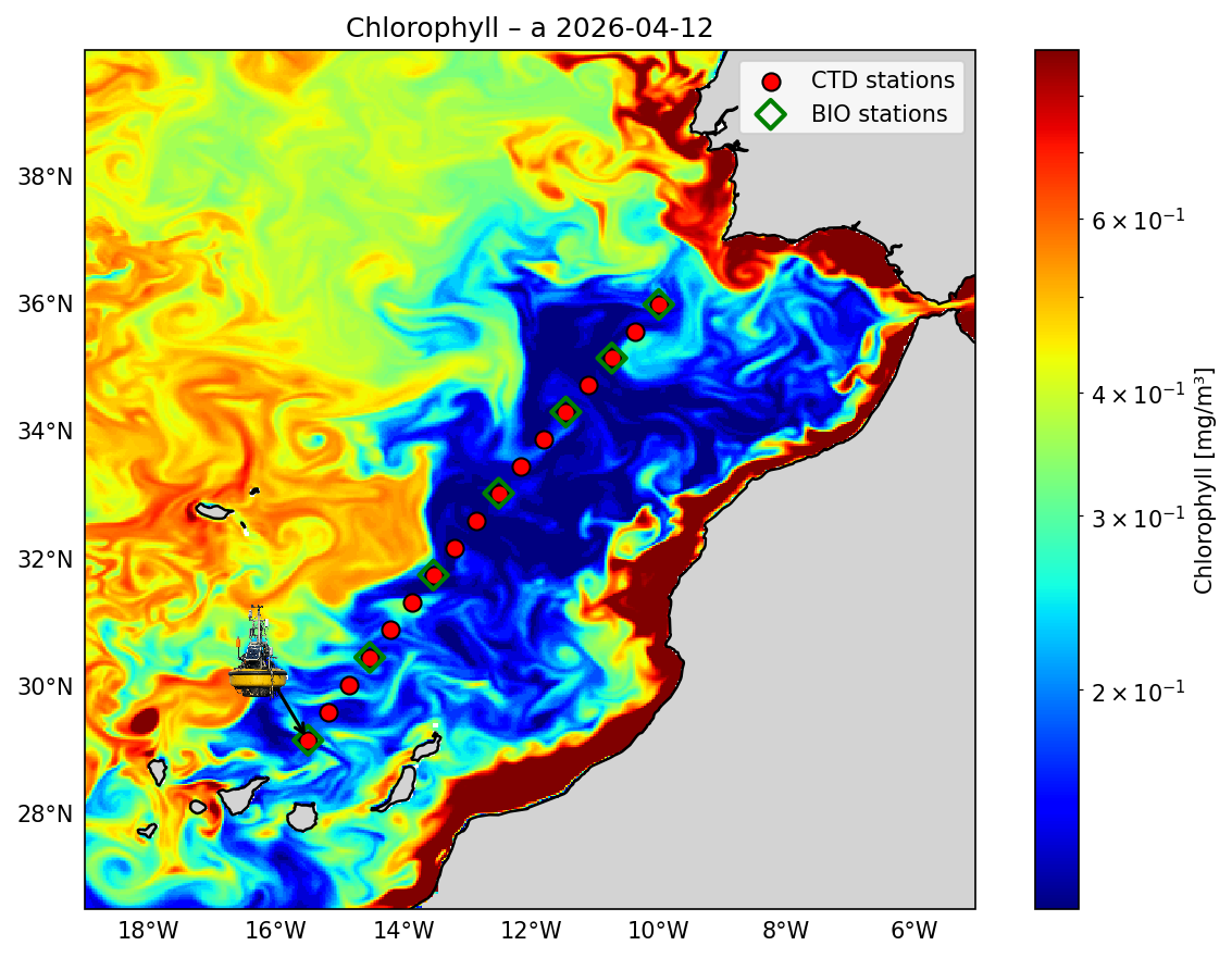 Chlorophyll + Geostrophic Currents