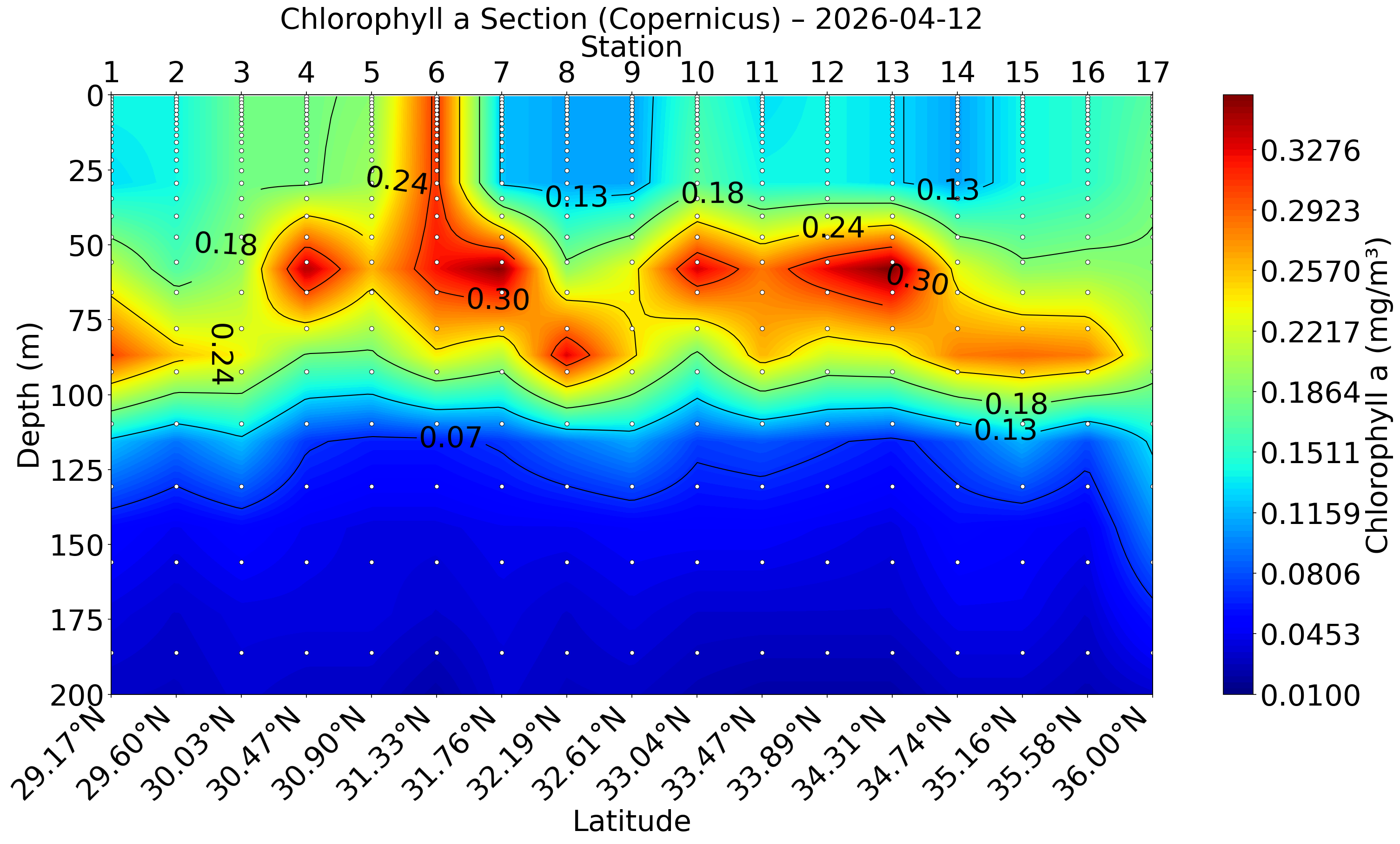 Chlorophyll a Section (from Copernicus)