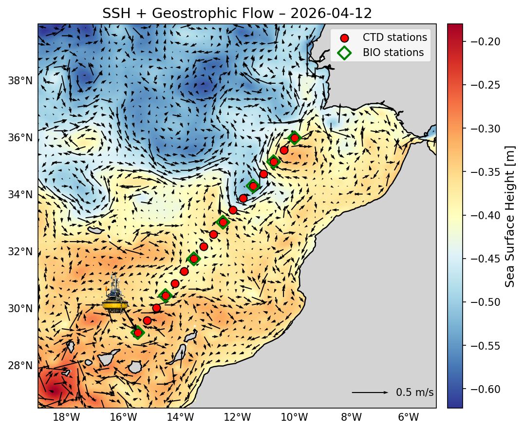 SSH + Geostrophic Flow
