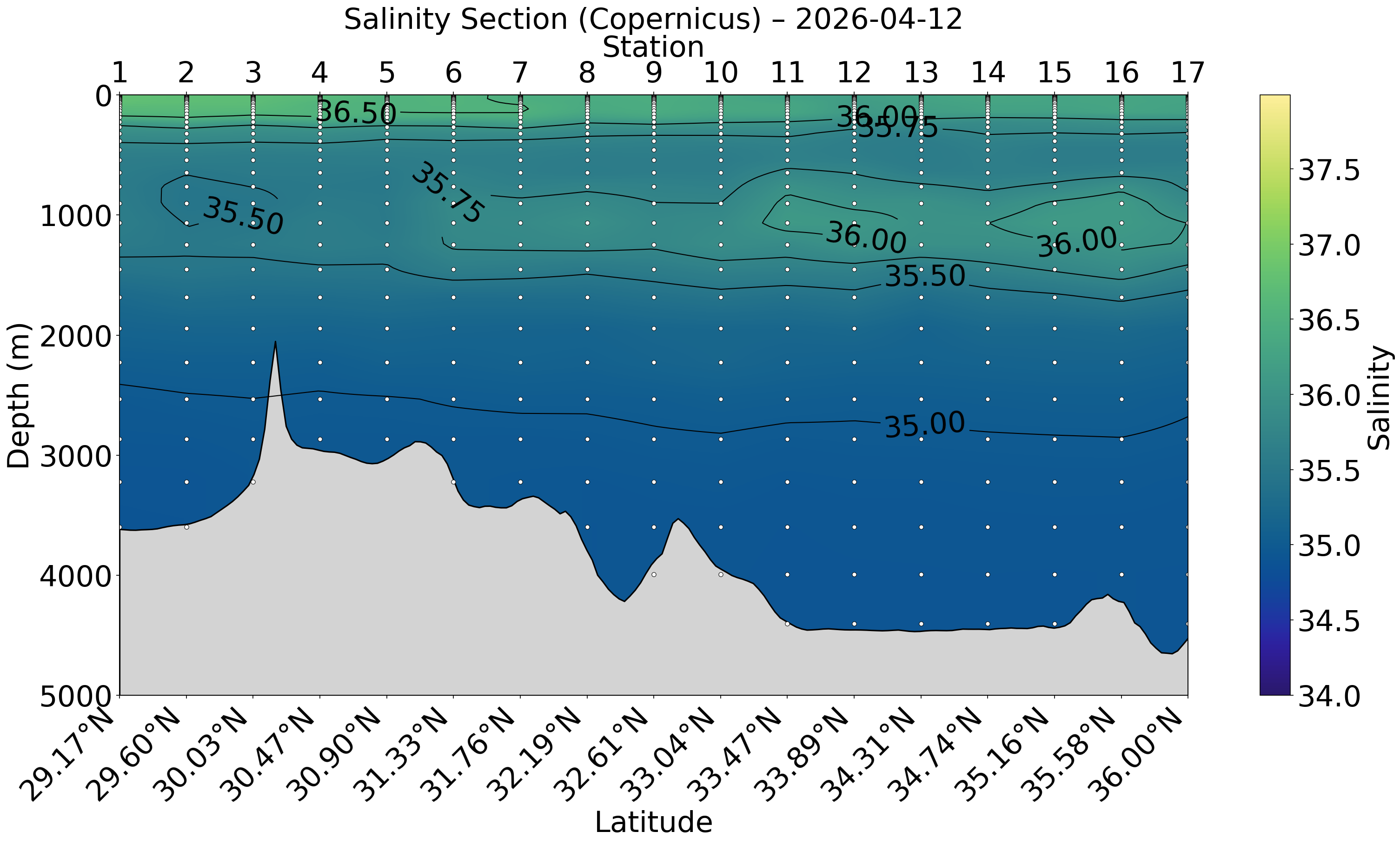 Salinity Section (from Copernicus)