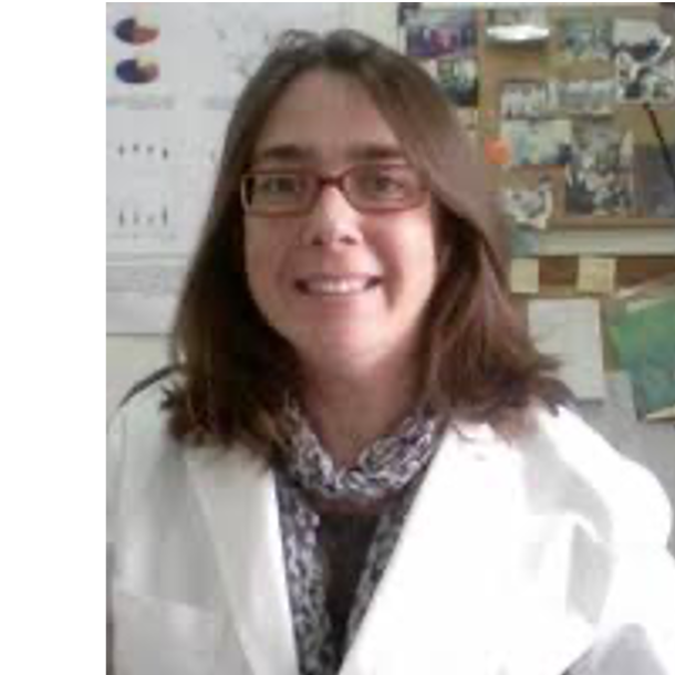 Dr. María Dolores Gelado Caballero